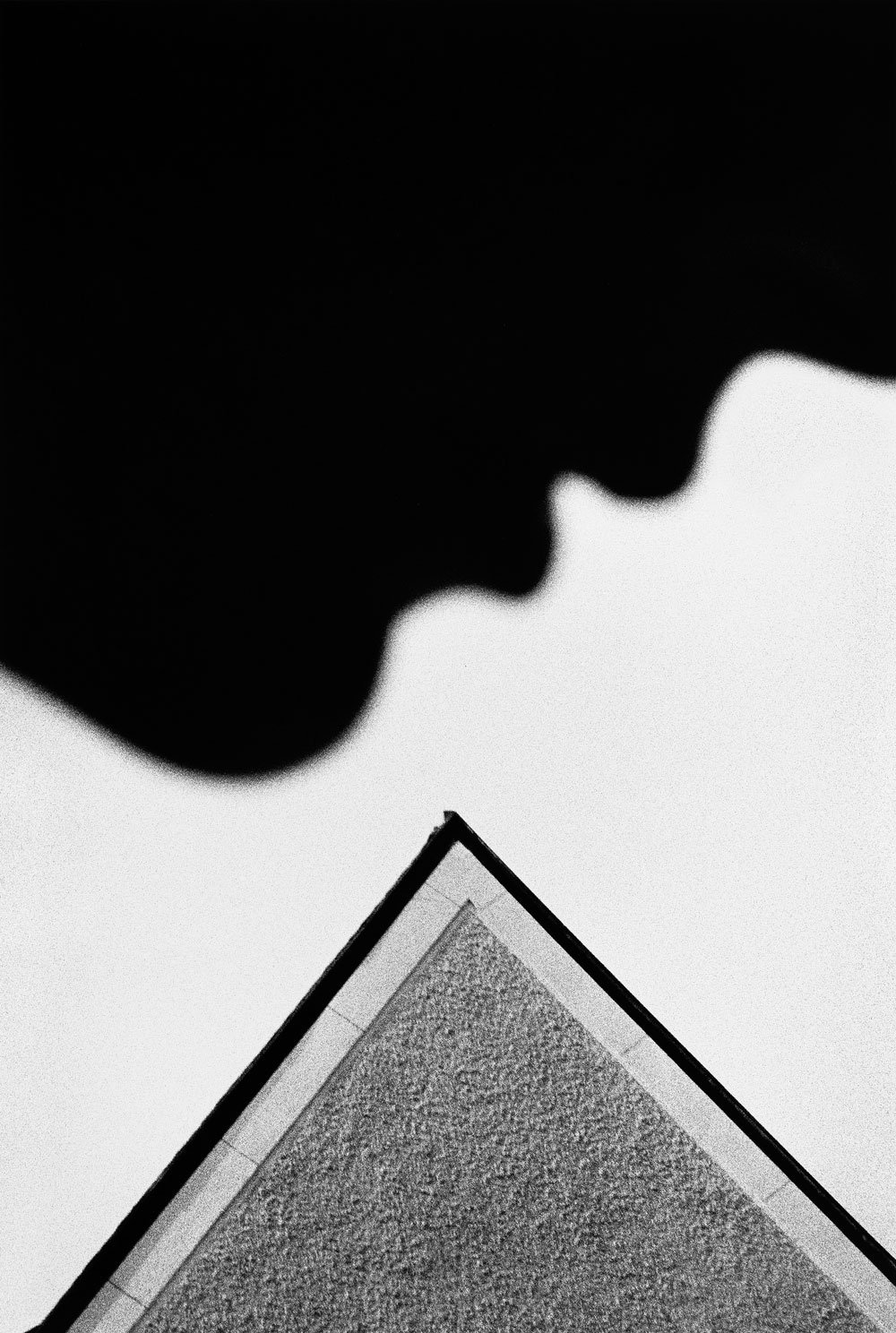 Renato D'Agostin