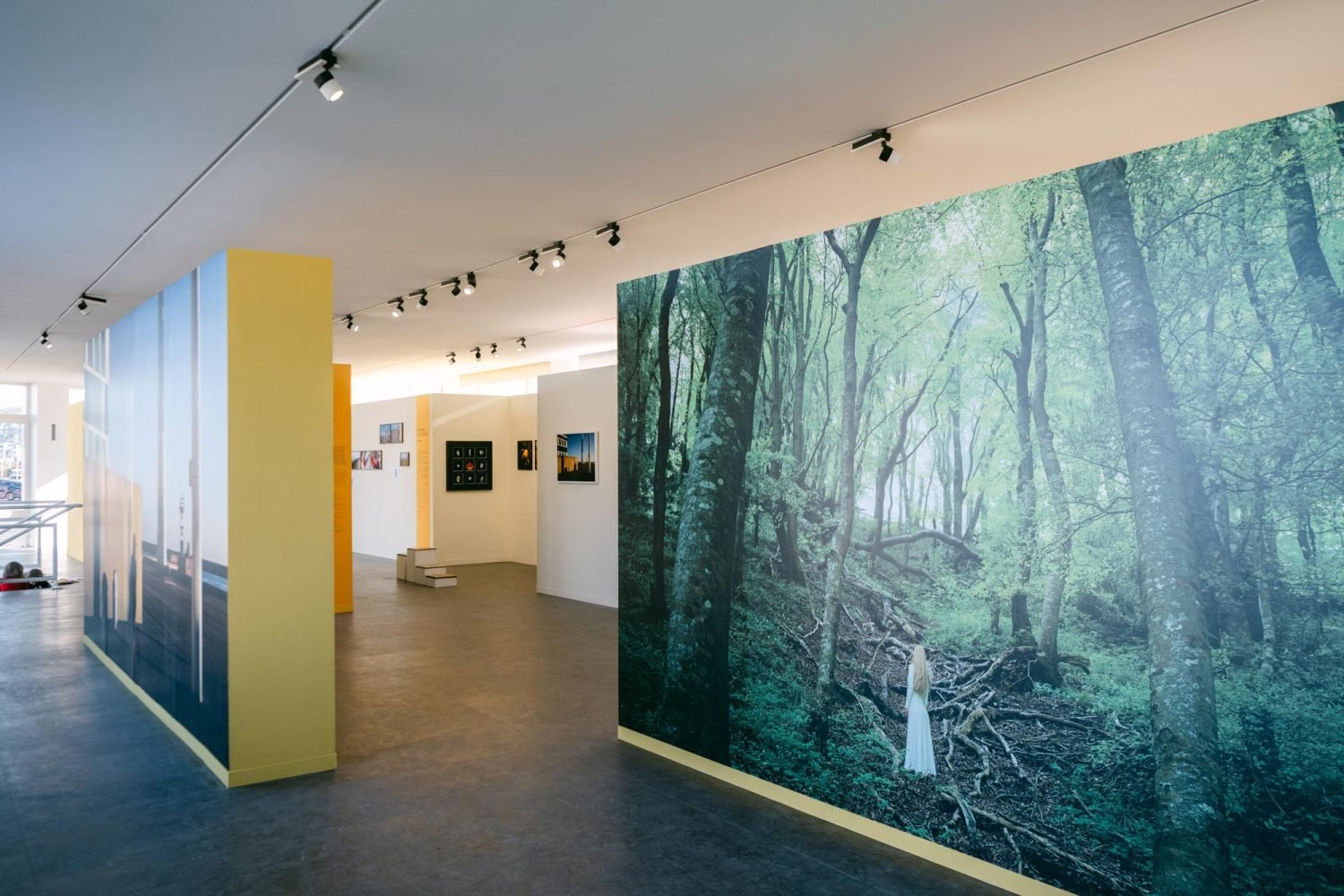 Exposition-de-Marie-Wengler-2024